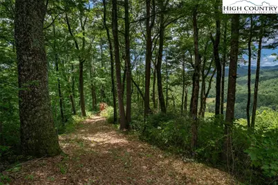 Tbd Autumn Ridge Drive, Lenoir, NC 28645 - Photo 1