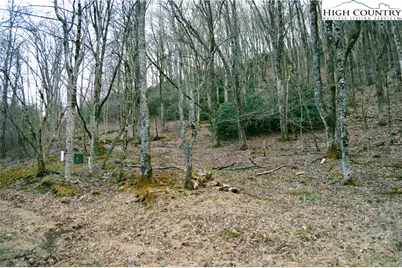 Lot 101 Beaver Lodge Trail, Blowing Rock, NC 28605 - Photo 1