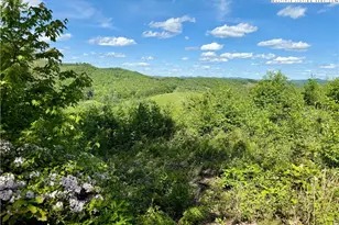 Tbd Cedar Rock Ln, Fleetwood, NC 28686 - Photo 1