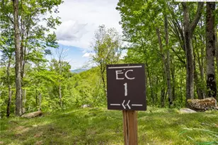 Ec1 Eagle Crest Trail, Elk Park, NC 28604 - Photo 1