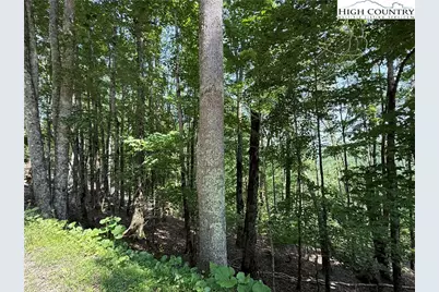 115 Hollow Tree Road, Beech Mountain, NC 28604 - Photo 1