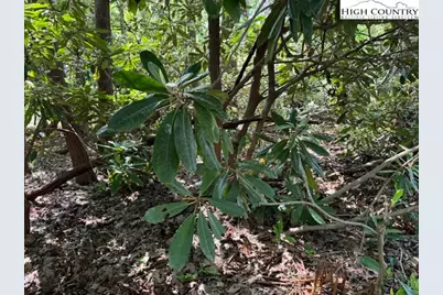 110 Pond Creek Lane, Beech Mountain, NC 28604 - Photo 1