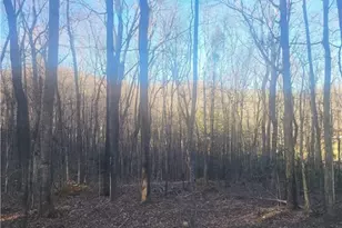 Tbd Bluff Ridge Rd, West Jefferson, NC 28694 - Photo 1