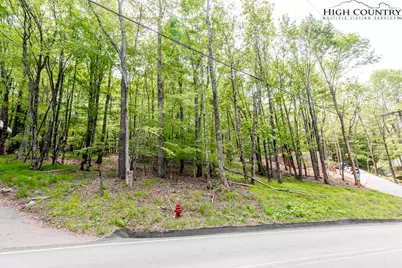 508 Charter Hills Road, Beech Mountain, NC 28604 - Photo 1