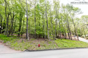 508 Charter Hills Rd, Beech Mountain, NC 28604 - Photo 1