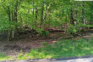 112 Tamarack Rd, Beech Mountain, NC 28604 - Photo 1