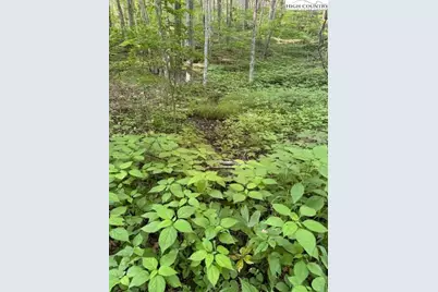 Lot 57 Beechwood Circle, Creston, NC 28615 - Photo 1