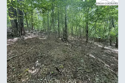 105/107 Aster Trail, Beech Mountain, NC 28604 - Photo 1