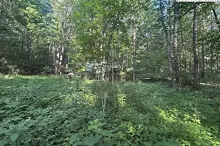 Lot 11 Billy Bob Ln, Creston, NC 28615 - Photo 1