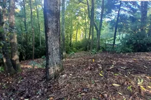 59 Woodpecker Ln, Newland, NC 28657 - Photo 1