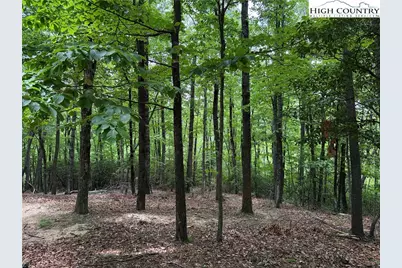 Lot 215 Casey Mountain Road, Purlear, NC 28665 - Photo 1