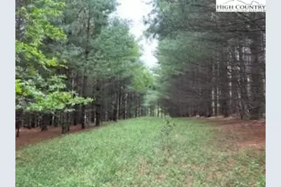 Tbd Fox Ridge Road, Glade Valley, NC 28627 - Photo 1