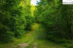 Tbd-5 Big Laurel Rd, Creston, NC 28615 - Photo 1