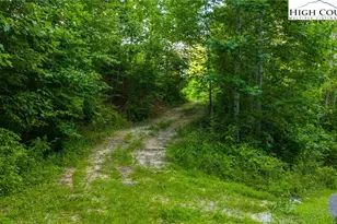 Tbd-6 Big Laurel Rd, Creston, NC 28615 - Photo 1
