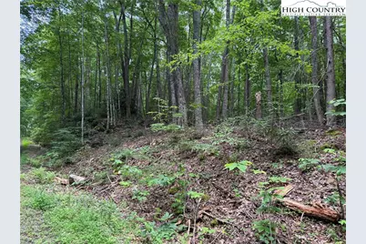Tbd Red Clover, Beech Mountain, NC 28604 - Photo 1