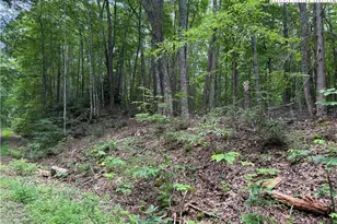 Tbd Red Clover, Beech Mountain, NC 28604 - Photo 1