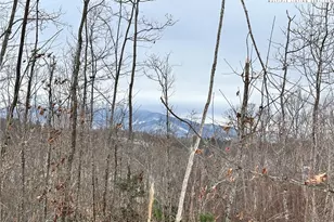 0000 Lot 78 Black Bear Crossing, Elk Park, NC 28622 - Photo 1