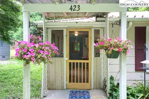 423 Dark Hollow Rd, Elk Park, NC 28622 - Photo 1