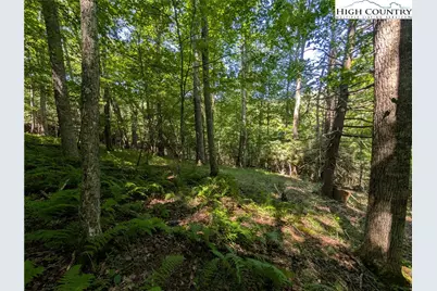 Tbd Sharon Sweeney Road, Crumpler, NC 28617 - Photo 1