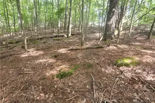 102 Oak Rd, Beech Mountain, NC 28604 - Photo 1