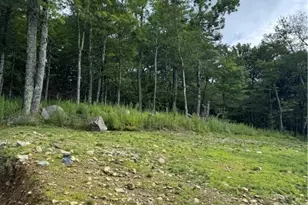 Lot 108 Buena Vista Loop, Sugar Mountain, NC 28604 - Photo 1