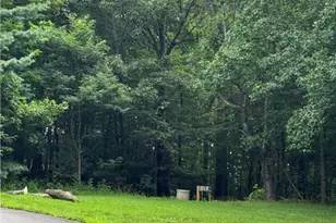 Tbd Ivy Ridge Rd, Deep Gap, NC 28618 - Photo 1