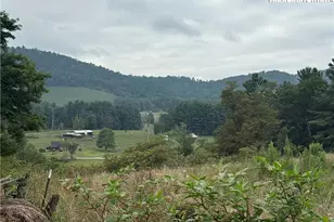 Tbd Roby Poe Rd, Crumpler, NC 28617 - Photo 1