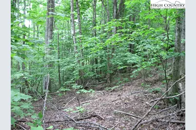120 Sassafrass Rd, Beech Mountain, NC 28604 - Photo 1