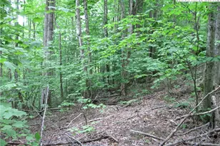 120 Sassafrass Rd, Beech Mountain, NC 28604 - Photo 1