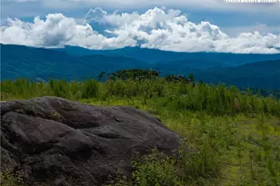 S50 Cliffside Trail, Banner Elk, NC 28604 - Photo 1