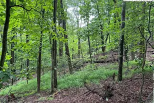 Tbd Rattlesnake Mountain Rd, Laurel Springs, NC 28644 - Photo 1