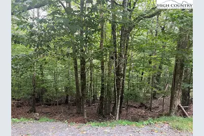 117 Lower Grouse Ridge Road, Beech Mountain, NC 28604 - Photo 1