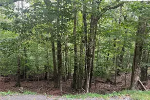 117 Lower Grouse Ridge Rd, Beech Mountain, NC 28604 - Photo 1