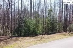 Lot #18 Blue Mountain Dr, Wilkesboro, NC 28697 - Photo 1