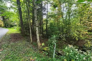 72 Sourwood Knoll, Newland, NC 28657 - Photo 1