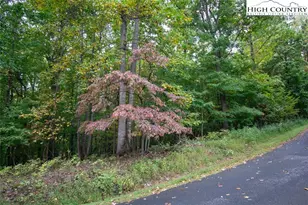 Lots 20 & 21 Candle St, West Jefferson, NC 28694 - Photo 1