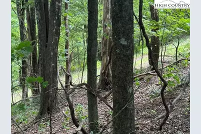 Lot 648 Longview Ln Or Merrywood Drive, West Jefferson, NC 28694 - Photo 1