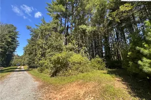 Tbd Billings Way Rd, Glade Valley, NC 28627 - Photo 1