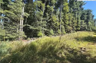 Tbd Pine Grove Circle, Glade Valley, NC 28627 - Photo 1