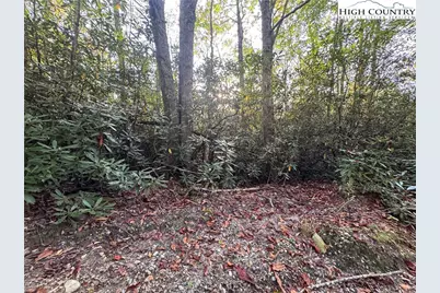 Tbd Farview Lane, Newland, NC 28657 - Photo 1