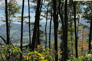 Tbd Mystery Mountain, West Jefferson, NC 28694 - Photo 1