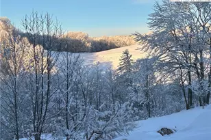 Tbd Grant Houckrd, Todd, NC 28684 - Photo 1