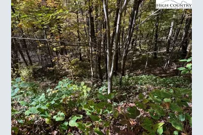 Lot 677 Three Top Trailhead Access Road, Creston, NC 28615 - Photo 1