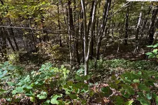 Lot 677 Three Top Trailhead Access Rd, Creston, NC 28615 - Photo 1