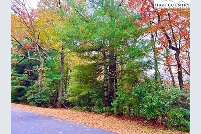 Tbd Troon Avenue #167, Roaring Gap, NC 28668 - Photo 1