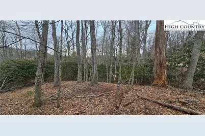 Lot 3 Raven Rock Drive, Boone, NC 28607 - Photo 1