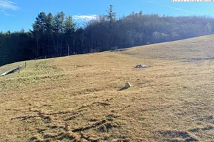 Tbd (0 918 Acres) Hartzog Ford Rd, West Jefferson, NC 28694 - Photo 1