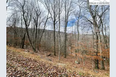 121 Shagbark Road, Banner Elk, NC 28604 - Photo 1