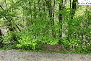 206 Wild Daisy Ln, Beech Mountain, NC 28604 - Photo 1