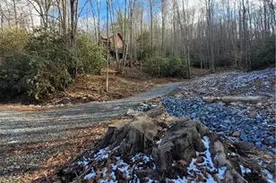1463 Pine Ridge Rd, Beech Mountain, NC 28604 - Photo 1